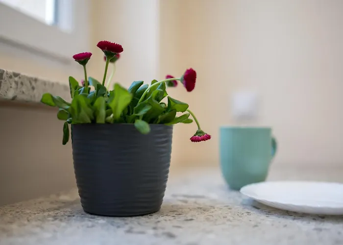 Lompy * גליביצ'ה